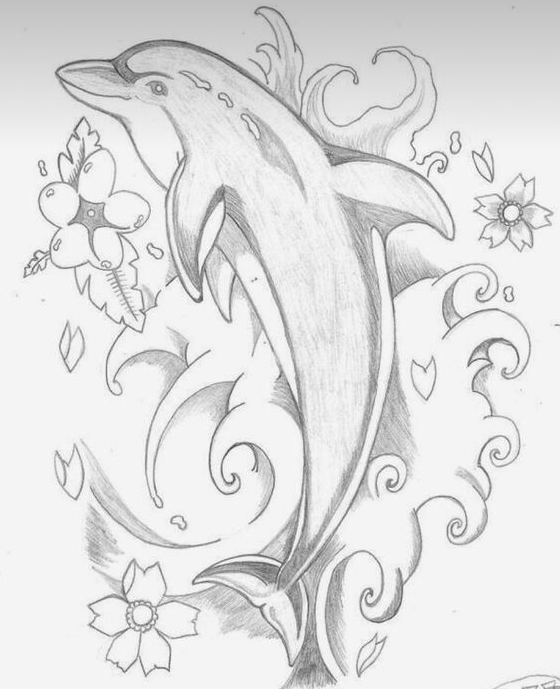Dolphin Drawing - Dolphin coloring pages dolphin art
