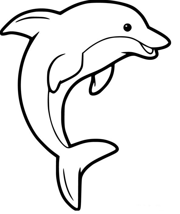 Dolphin Drawing - Free printable Dolphin coloring pages