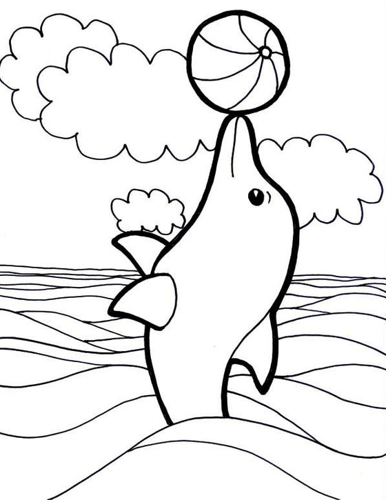Dolphin Drawing - Spinning Basketball On A Tip Of Dolphin Snout Coloring Page