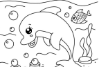 Dolphin Drawing   Summer Beach And Dolphin Coloring Pages For Kids