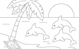 Dolphin Drawing   Summer Coloring Pages Dolphin Coloring Pages