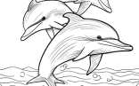 Dolphin Drawing   Three Coloring Page Printable Animal Coloring Pages