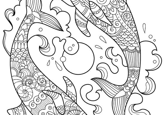 Dolphin Drawing   Two Beautiful Dolphins Dolphins Coloring Pages For Kids