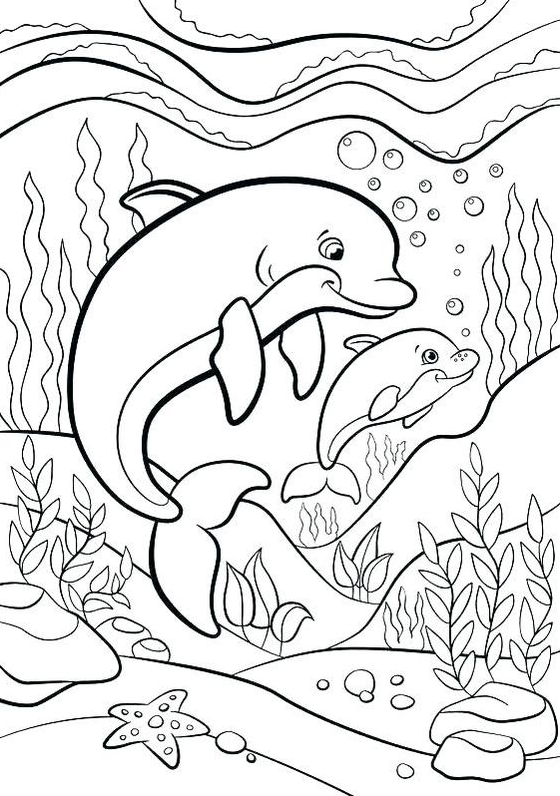 Dolphin Painting - Cute Animal Coloring Pages