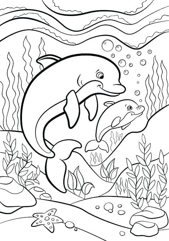 Dolphin Painting   Cute Animal Coloring