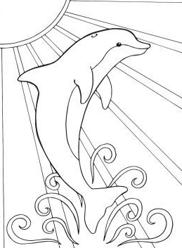 Dolphin Painting   Dolphin Coloring Pages