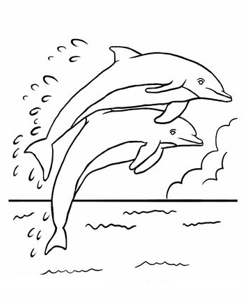 Dolphin Painting   Dolphin Coloring