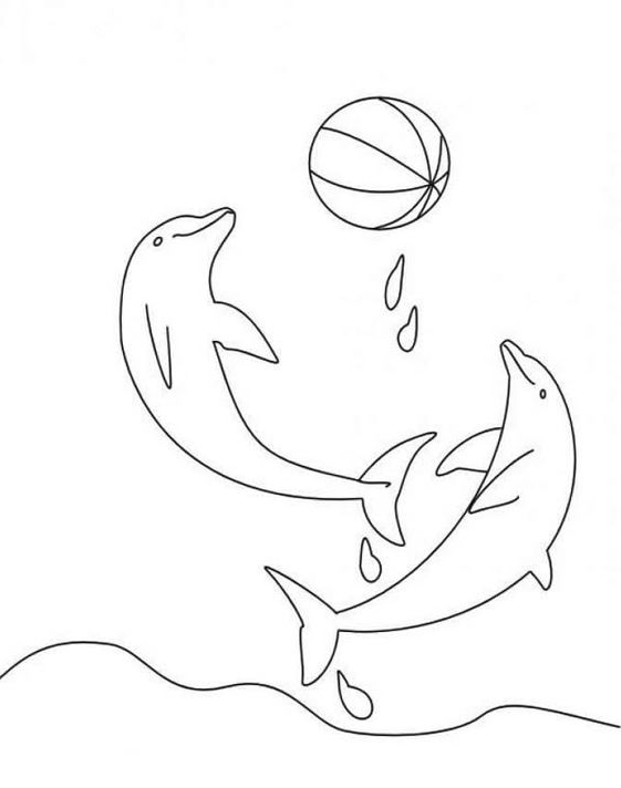 Dolphin Painting - Dolphin Compete For The Ball Page To Coloring Coloring Page