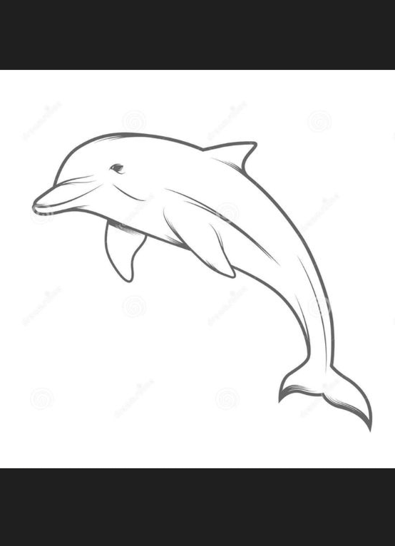 Dolphin Painting - Dolphin illustration stock vector