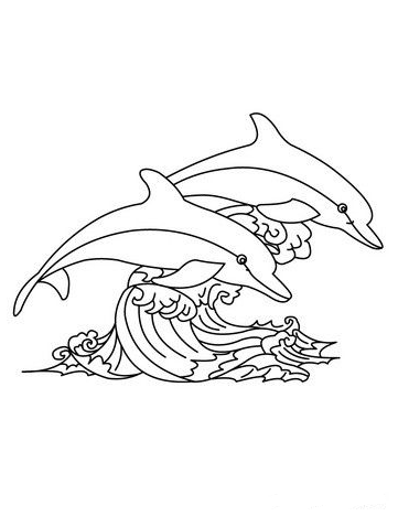 Dolphin Painting   Dolphins Online Coloring