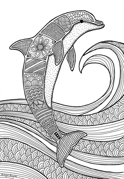 Dolphin Painting - Free dolphin colouring page for grown-ups