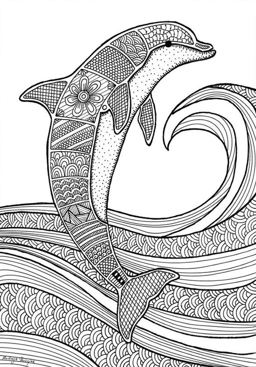 Dolphin Painting   Free Dolphin Colouring Page For Grown