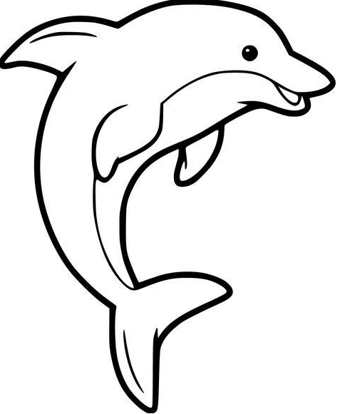 Dolphin Painting   Funny Coloring  For Kids Dolphin Coloring