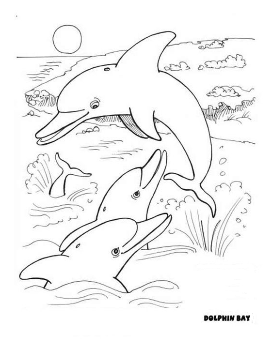 Dolphin Painting - How Many Dolphin Did You See Coloring Page
