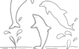 Dolphin Painting   Three Dolphins Coloring Pages