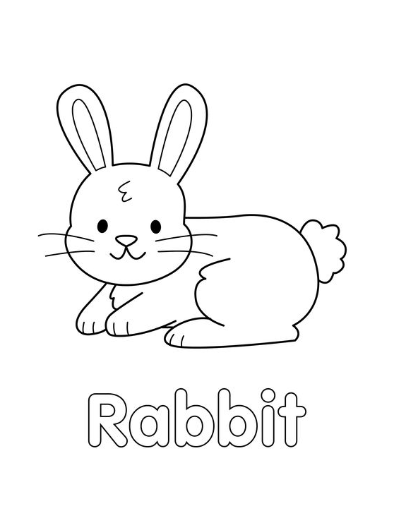 Rabbit Drawing - Bunny Coloring Page