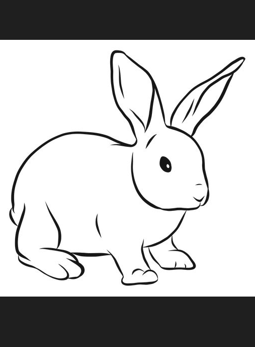 Rabbit Drawing - Bunny rabbit muzzle ear sketch