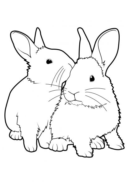Rabbit Drawing - Coloriage et dessin gratuit à colorier et à imprimer pour les enfants