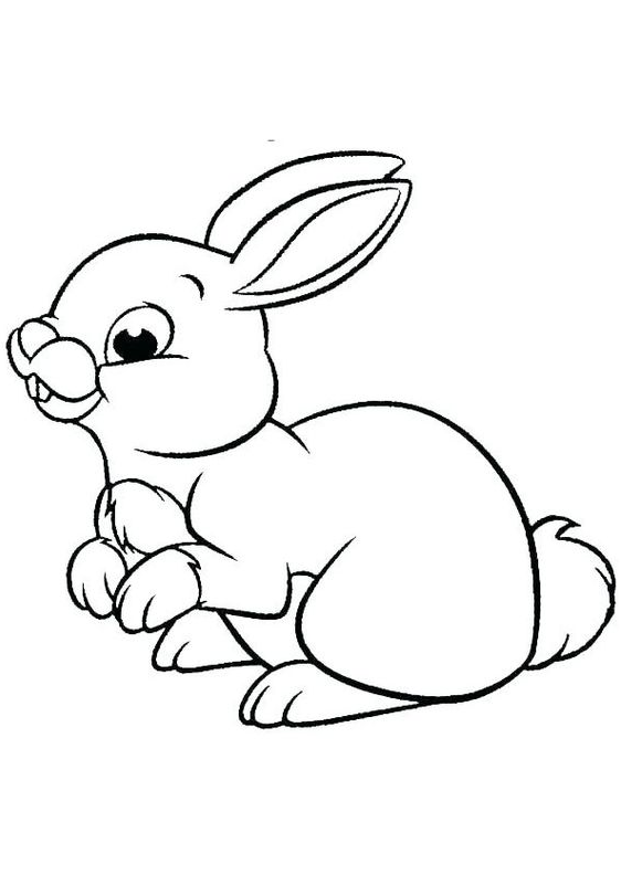 Rabbit Drawing - Cute baby Rabbit Coloring-page for Kids Free Printable Rabbit Coloring Pages