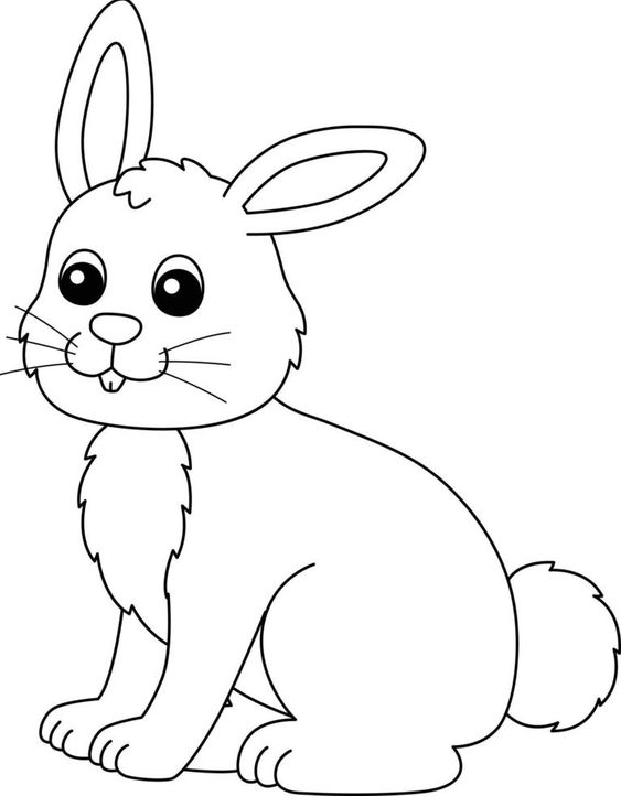 Rabbit Drawing - Download Rabbit Coloring Page Isolated for Kids for free