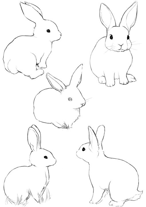 Rabbit Drawing - Download Rabbit Sketches Drawing Royalty-Free Stock Illustration Image