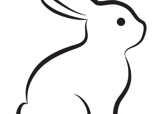 Rabbit Drawing   Download The Cute Rabbit Drawing