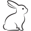 Rabbit Drawing   Download The Cute Rabbit Drawing