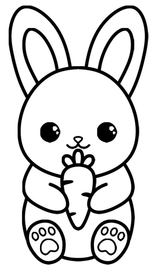 Rabbit Drawing - How to Draw a Bunny Step-By-Step Instructions