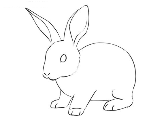 Rabbit Drawing - How to Draw a Rabbit