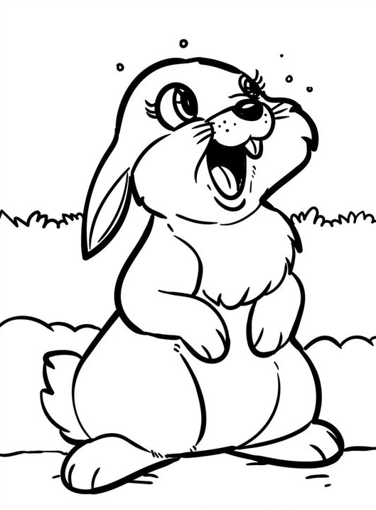 Rabbit Drawing - Original And Sweet Rabbit Coloring Pages Gallery