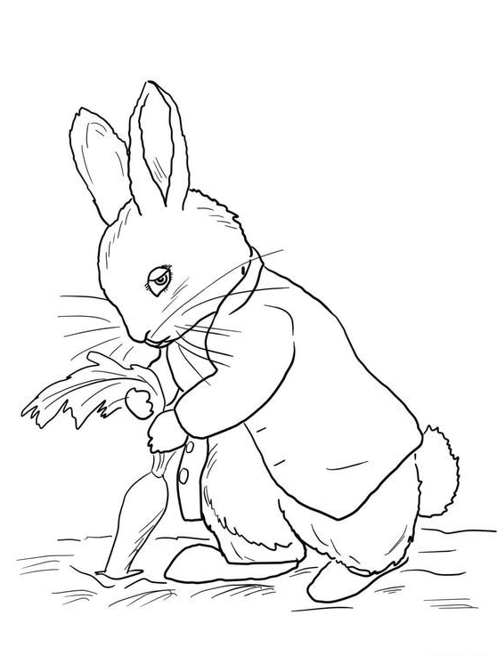 Rabbit Drawing - Peter Rabbit Stealing Carrots coloring page Free Printable Coloring Pages