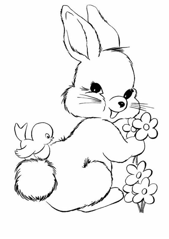 Rabbit Drawing - Rabbit Coloring Pages for Kids Free Printable Rabbit Coloring Pages For Turtle download and print
