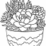 Realistic Succulents In Large Container Coloring Page