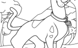 Simple Coloring Page Of Scooby Doo