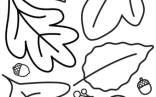 Simple Fall Leaves Coloring Sheet