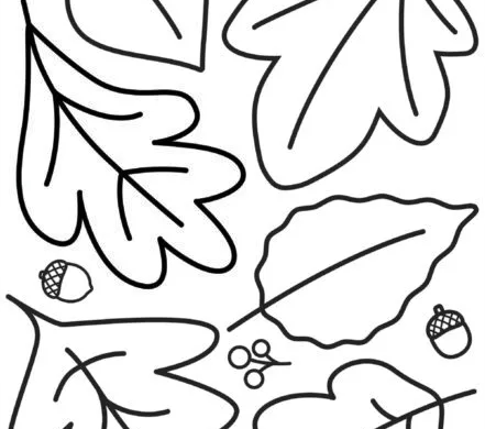 Simple Fall Leaves Coloring Sheet