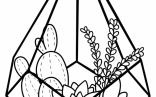 Simple Succulent Terrarium Coloring Sheet