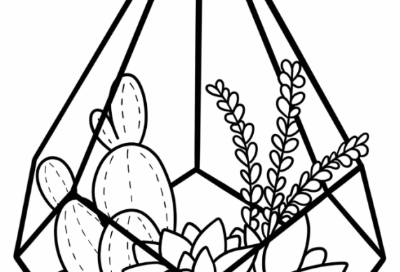 Simple Succulent Terrarium Coloring Sheet