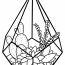 Simple Succulent Terrarium Coloring Sheet