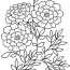 Three Marigold Flowers Coloring Page