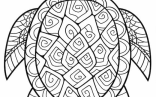 Turtle Mandala Coloring Pages