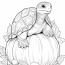 Turtle On A Pumpkin