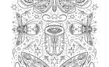 Colouring Pages Insect Coloring Pages Coloring Pages Nature Coloring Book Art Coloring Pages Color