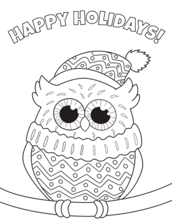 Happy Holidays Christmas Owl