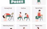 Printable Senior Chair Yoga Poses