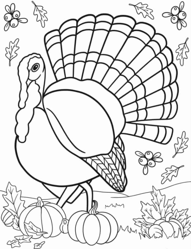 Realistic Thanksgiving Turkey Coloring