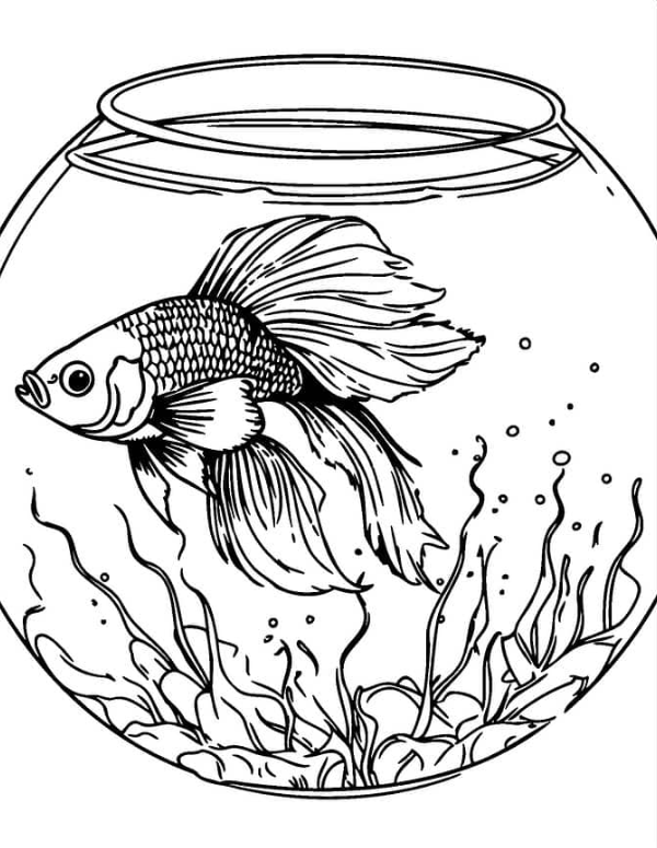 Realistic Goldfish In Fish