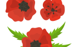 Red Poppy Template Printable