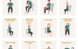 Senior Chair Yoga Exercises