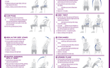 Senior Chair Yoga Exercises